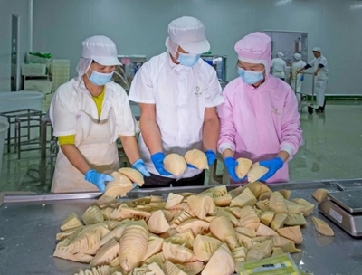 樂(lè)安:假期不停工 企業(yè)生產(chǎn)忙 農(nóng)副產(chǎn)品產(chǎn)業(yè)鏈蓄勢(shì)賦能