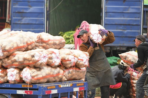 寒潮將至，備貨先行——太原河西市場(chǎng)全力保障市民“菜籃子”供應(yīng)