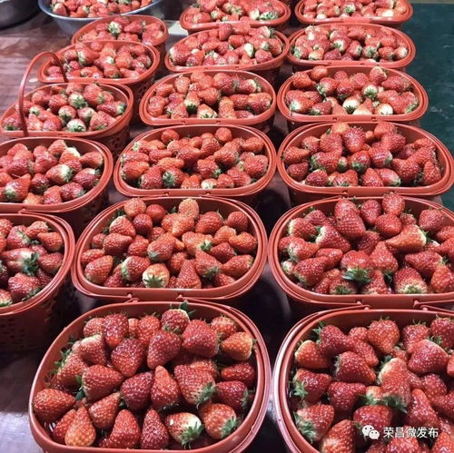 榮昌本地農(nóng)副產(chǎn)品線上選購(gòu)指南 手機(jī)下單，美味到家