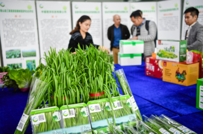 大灣區(qū)“菜籃子”產(chǎn)品清遠(yuǎn)配送中心開(kāi)業(yè)，農(nóng)副產(chǎn)品“一站式”服務(wù)助力區(qū)域融合